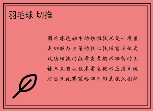 羽毛球 切推
