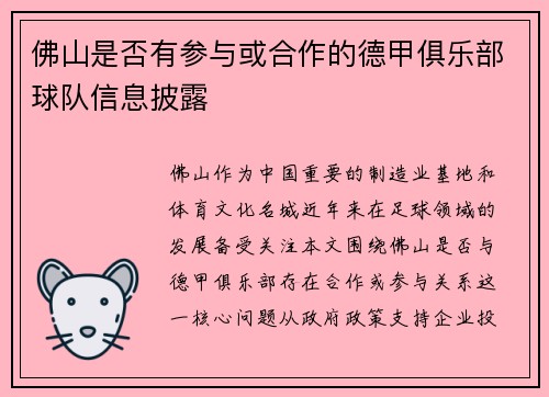 佛山是否有参与或合作的德甲俱乐部球队信息披露