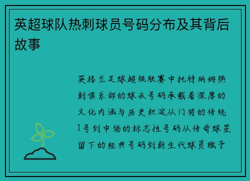 英超球队热刺球员号码分布及其背后故事